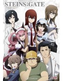 Steins Gate - Serie Completa (Eps 01-25) (4 Dvd)