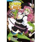 DEMON SLAYER N.14 (di 23)