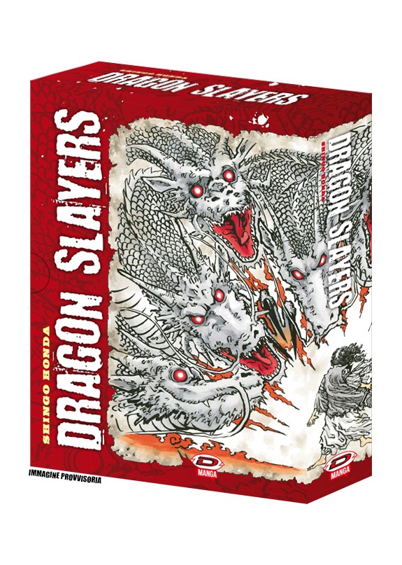 DRAGON SLAYERS COLLECTOR'S BOX (1-3)