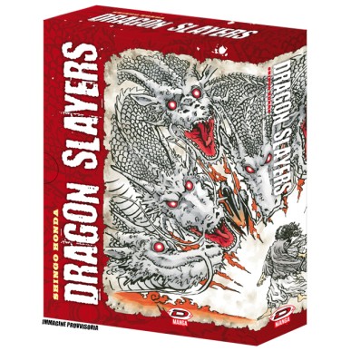 DRAGON SLAYERS COLLECTOR'S BOX (1-3)