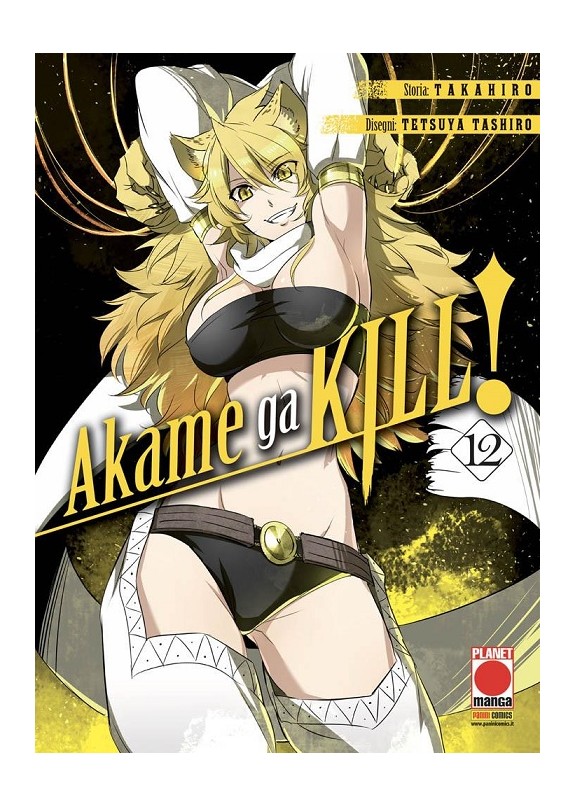 AKAME GA KILL N.12 (DI 15)