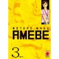 AMEBE N.3