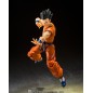 Dragon Ball Z Yamcha Earth Foremost Fighter Shf