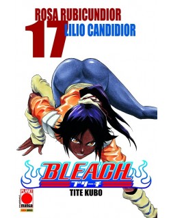 BLEACH N.17 (DI 74)