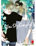 BLUE SKY COMPLEX N.7