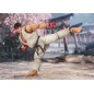 Street Fighter Ryu Outfit 2 Shf