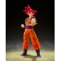 Dragon Ball Super Ss God Son Goku Shf