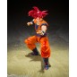 Dragon Ball Super Ss God Son Goku Shf