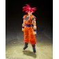 Dragon Ball Super Ss God Son Goku Shf