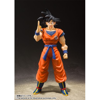 DRAGON BALL Z SON GOKU EARTH SH FIGUARTS