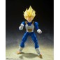 DRAGON BALL Z SS VEGETA AWAKENED SHF