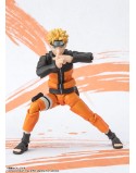 Naruto Uzumaki Narutop99 Ed Shf