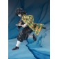 Demon Slayer Giyu Tomioka Shf