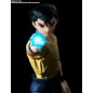 Yu Yu Hakusho Yusuke Urameshi Shf