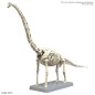 Plannosaurus Brachiosaurus model kit