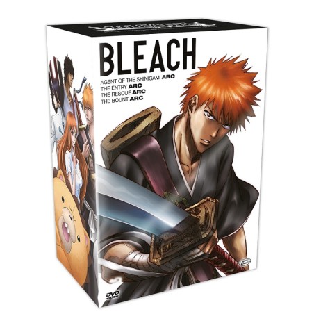 Bleach Box 1 (Arc 1-4) (13 Dvd)