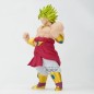 DRAGON BALL Z BLOOD OF SAIYANS SUPER SAIYAN BROLY