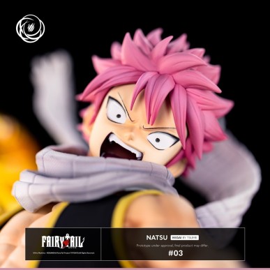 Fairy Tail Natsu Ikigai