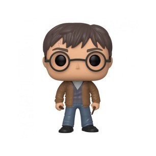 HARRY POTTER FUNKO POP 118 SPECIAL EDITION