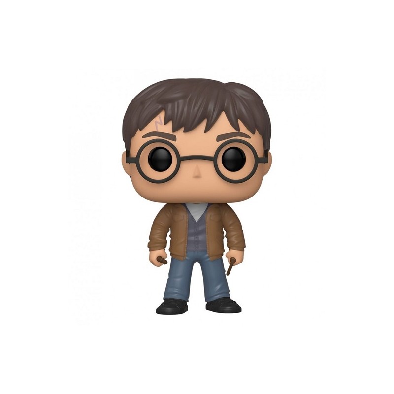 HARRY POTTER FUNKO POP 118 SPECIAL EDITION