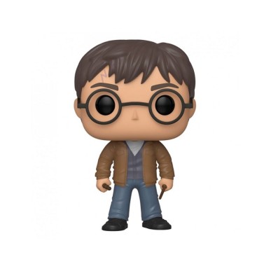 HARRY POTTER FUNKO POP 118 SPECIAL EDITION