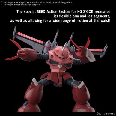 Hg z’gok seed freedom ver 1/144