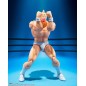 Kinnikuman perfect origin arc kinnikuman shf